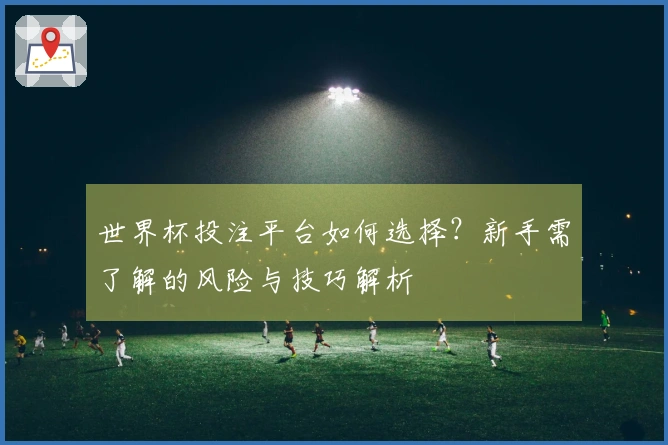 世界杯投注平台如何选择？新手需了解的风险与技巧解析