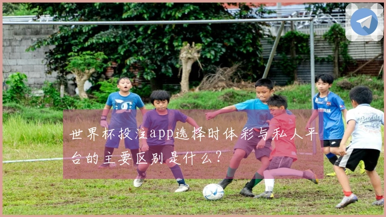 世界杯投注app选择时体彩与私人平台的主要区别是什么？