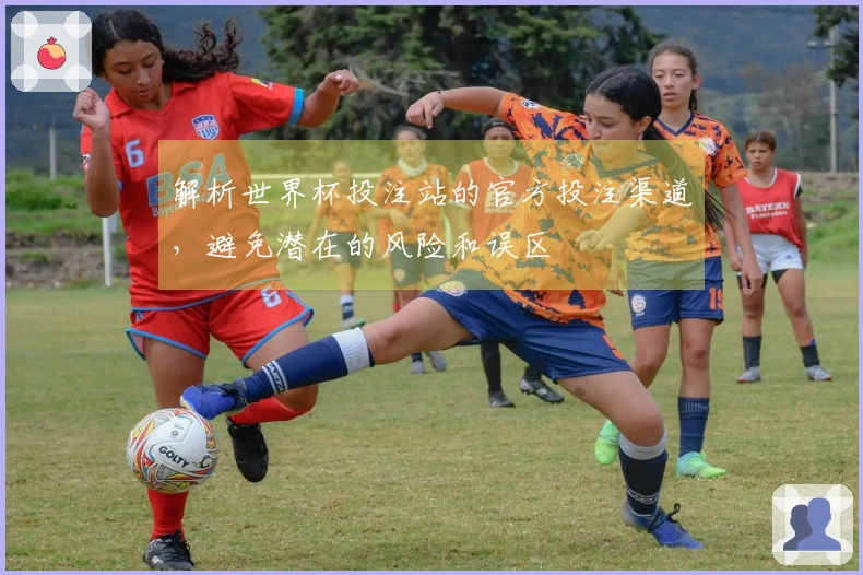 解析世界杯投注站的官方投注渠道，避免潜在的风险和误区