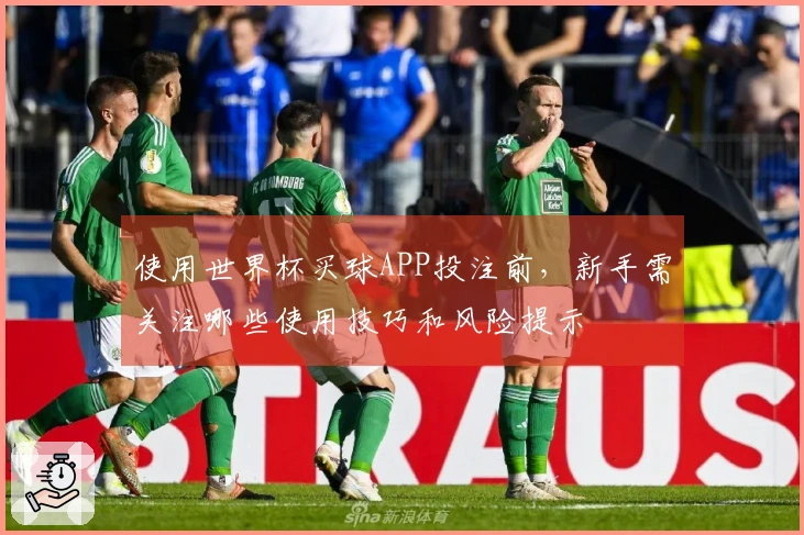 使用世界杯买球APP投注前，新手需关注哪些使用技巧和风险提示