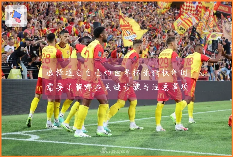 选择适合自己的世界杯竞猜软件时需要了解哪些关键步骤与注意事项