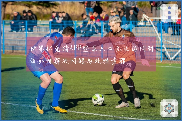 世界杯竞猜APP登录入口无法访问时该如何解决问题与处理步骤