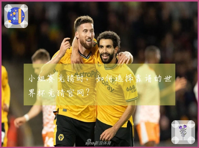小组赛竞猜时，如何选择靠谱的世界杯竞猜官网？
