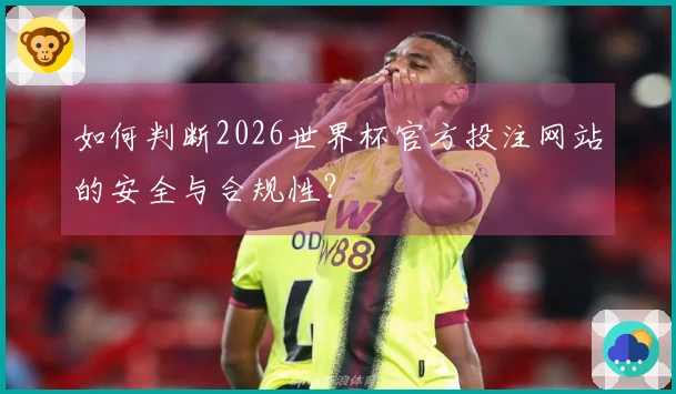 如何判断2026世界杯官方投注网站的安全与合规性？