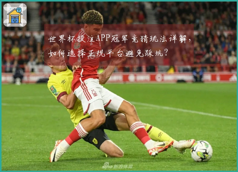 世界杯投注APP冠军竞猜玩法详解，如何选择正规平台避免踩坑？