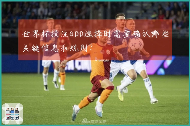 世界杯投注app选择时需要确认哪些关键信息和规则？