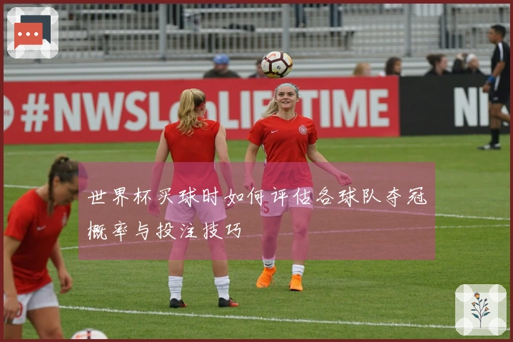 世界杯买球时如何评估各球队夺冠概率与投注技巧