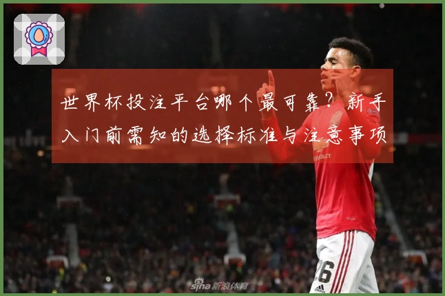 世界杯投注平台哪个最可靠？新手入门前需知的选择标准与注意事项