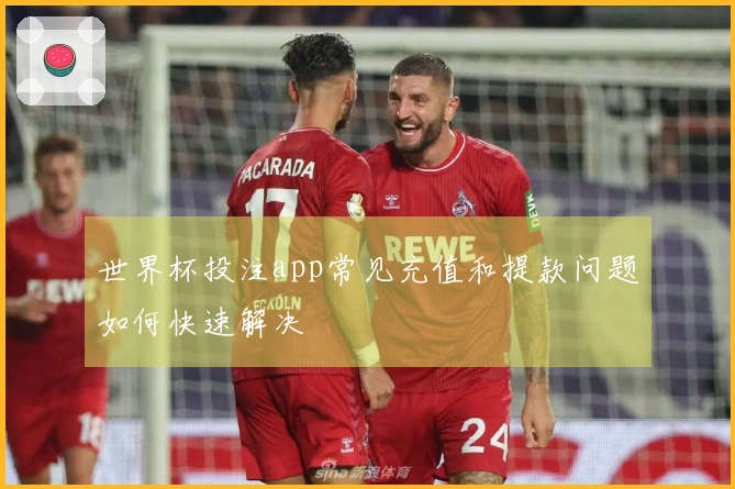 世界杯投注app常见充值和提款问题如何快速解决