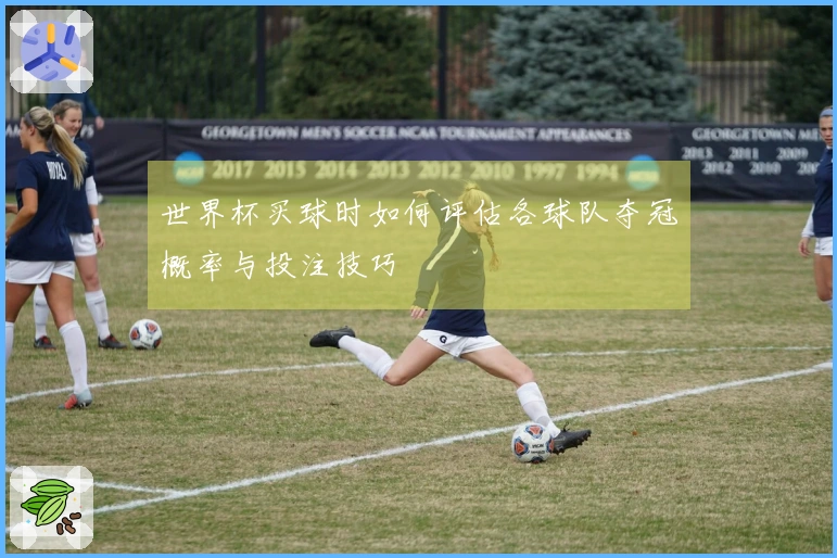 世界杯买球时如何评估各球队夺冠概率与投注技巧