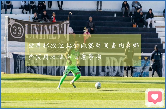 世界杯投注站的比赛时间查询有哪些实用方法和注意事项