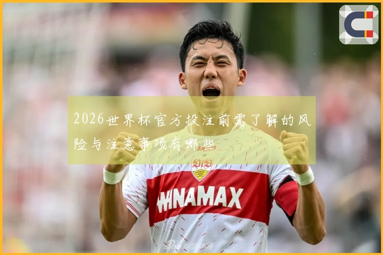 2026世界杯官方投注前需了解的风险与注意事项有哪些