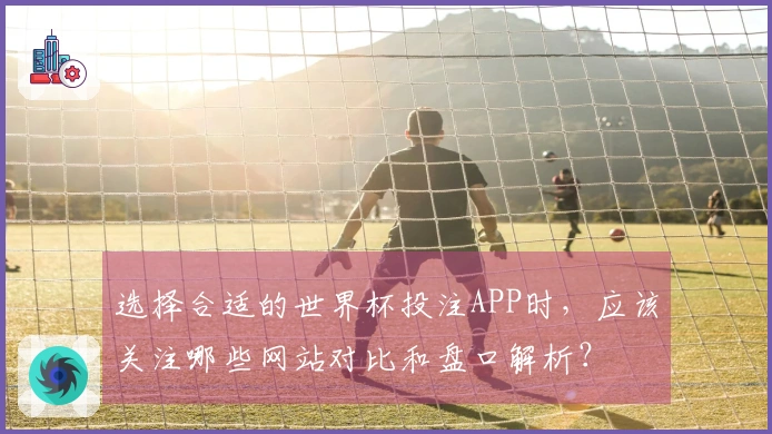 选择合适的世界杯投注APP时，应该关注哪些网站对比和盘口解析？