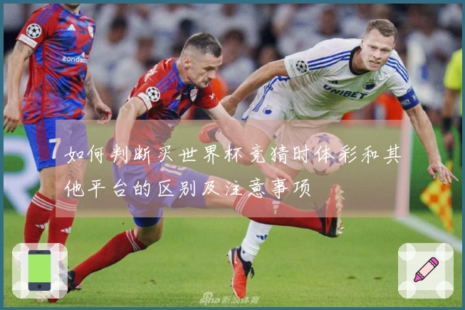 如何判断买世界杯竞猜时体彩和其他平台的区别及注意事项