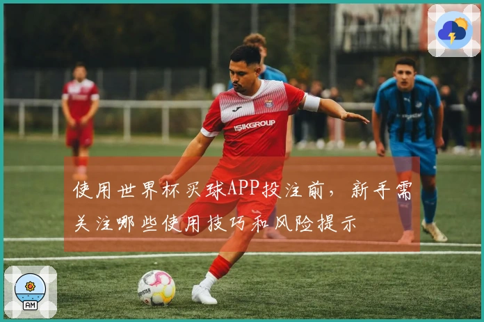 使用世界杯买球APP投注前，新手需关注哪些使用技巧和风险提示
