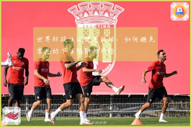 世界杯投注站使用技巧，如何避免常见的下注陷阱与风险