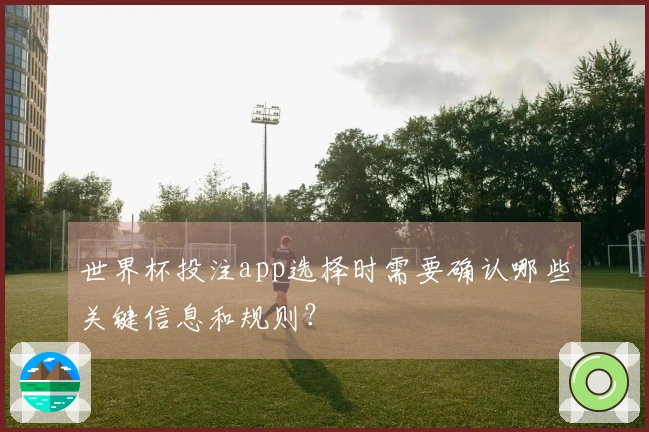 世界杯投注app选择时需要确认哪些关键信息和规则？