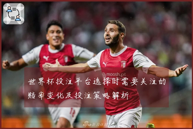 世界杯投注平台选择时需要关注的赔率变化及投注策略解析